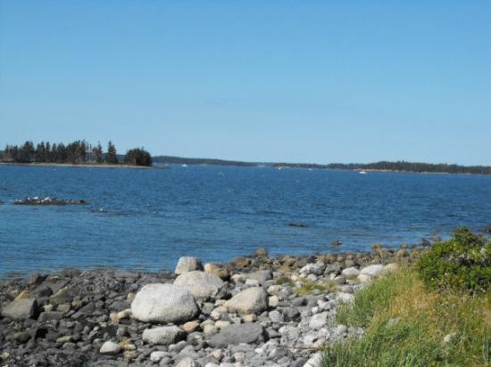 Addison旅游攻略图片