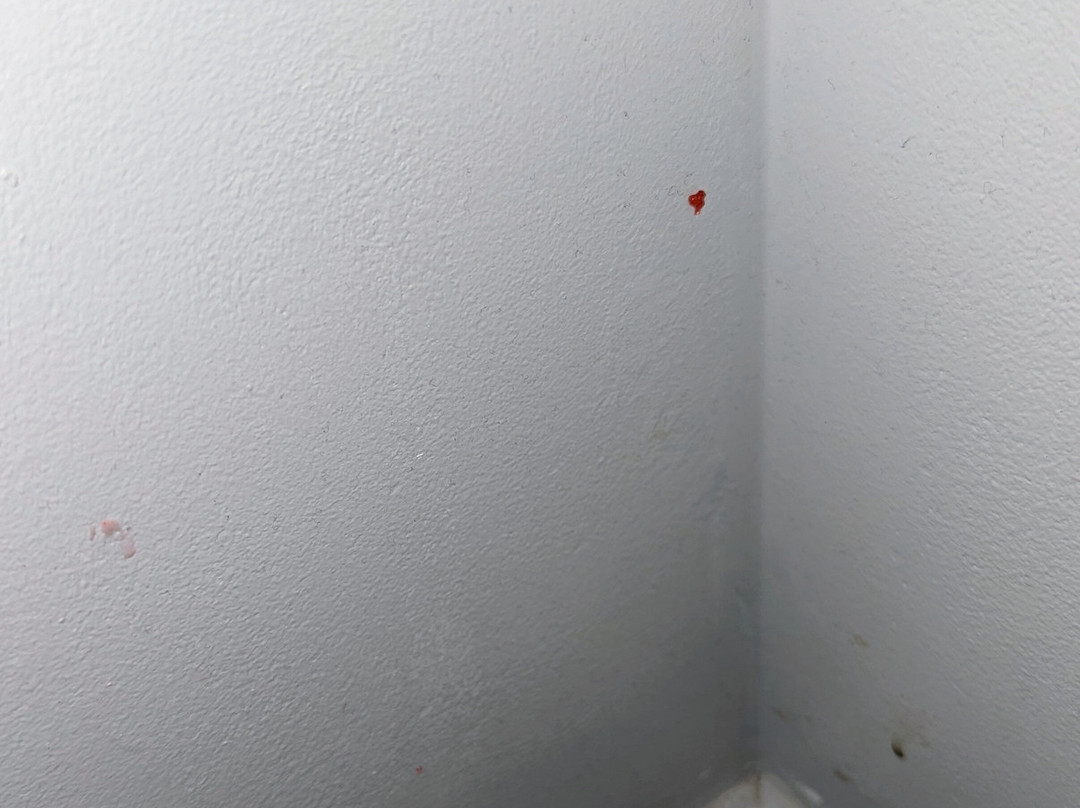 圣安东尼奥阿拉莫靛蓝酒店主图