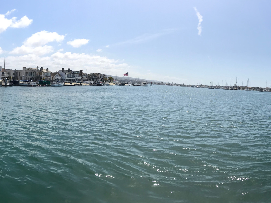 巴博亚岛渡轮-纽波特海滩必去景点