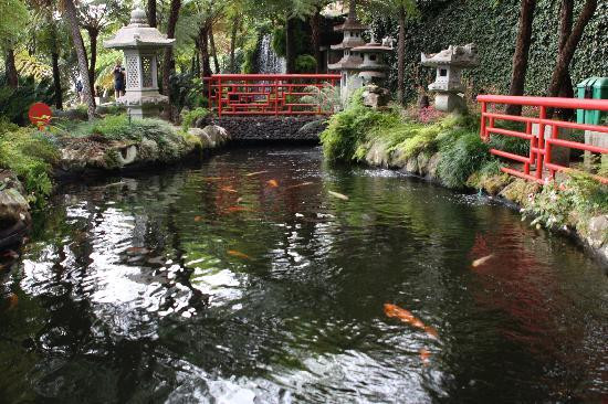 Monte Palace Madeira-沙尔必去景点