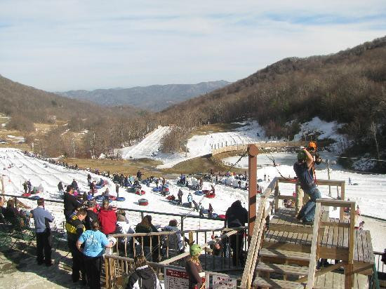 Hawksnest Snow Tubing and Zipline景点图片