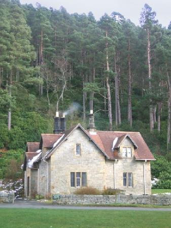 Cragside House and Gardens景点图片