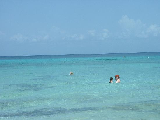 Playa Mia Grand Beach Park-考祖梅必去景点