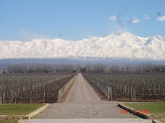 Ampora Wine Tours-门多萨必去景点