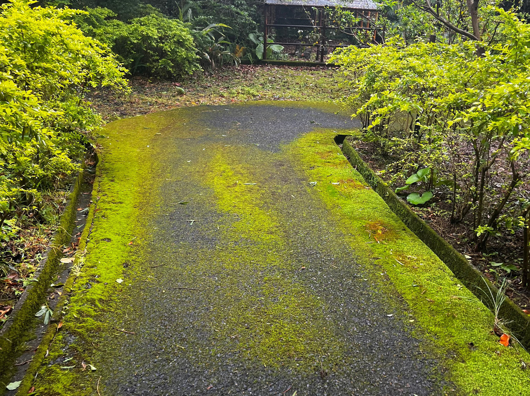 屋久岛岩崎酒店主图