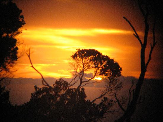 科基州立公园-科卡哈必去景点