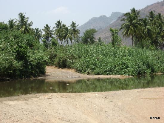 Amirthi Zoological Park-Vellore必去景点