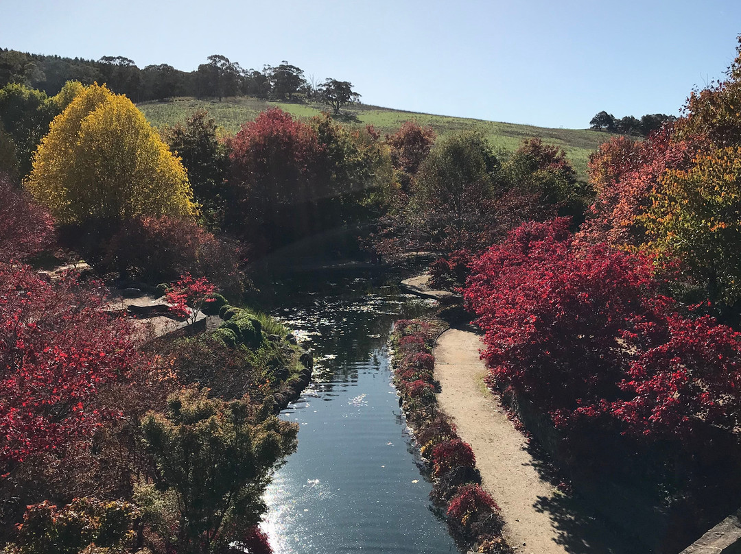 Bathurst Tours景点图片