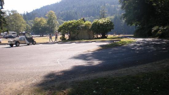Salt Creek Recreation Area景点图片