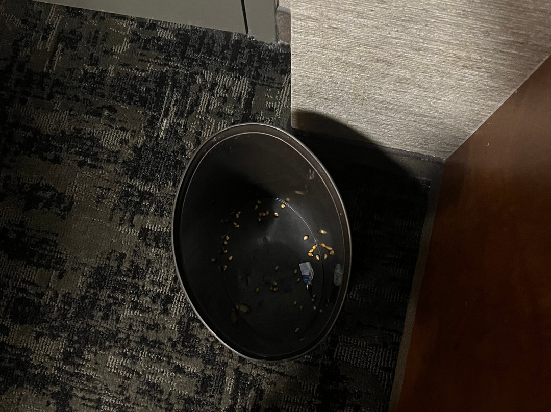 C'mon Inn of Casper主图