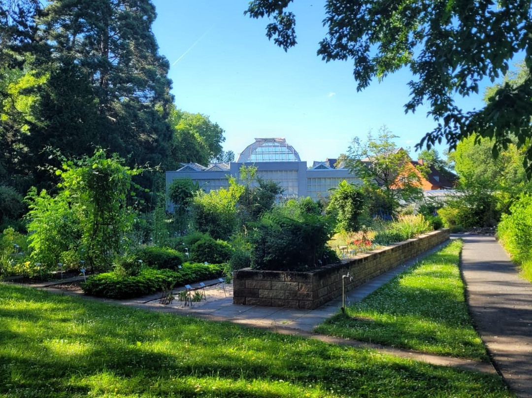 Botanischer Garten Giessen-吉森必去景点