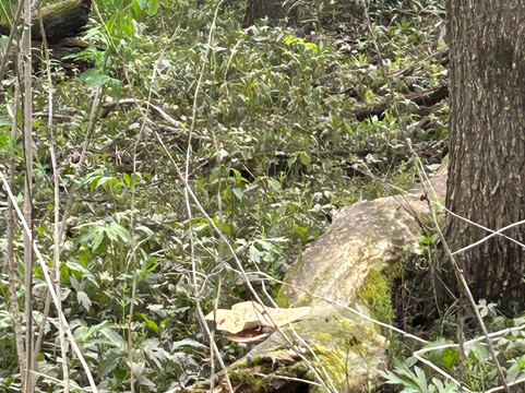 Izaak Walton Wetlands-罗切斯特必去景点