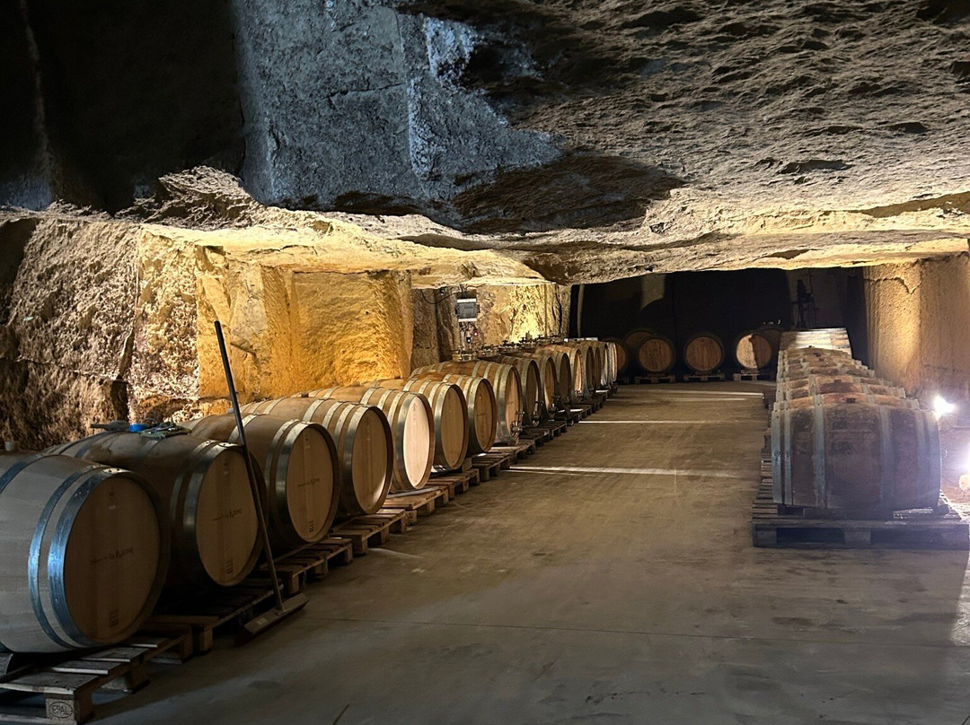 Bumblebee Tours - Loire Valley Wine Experience-梭缪尔必去景点