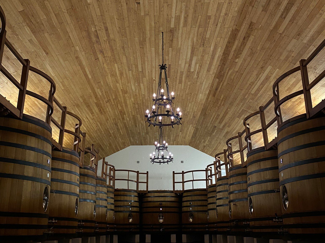 Château Fombrauge景点图片
