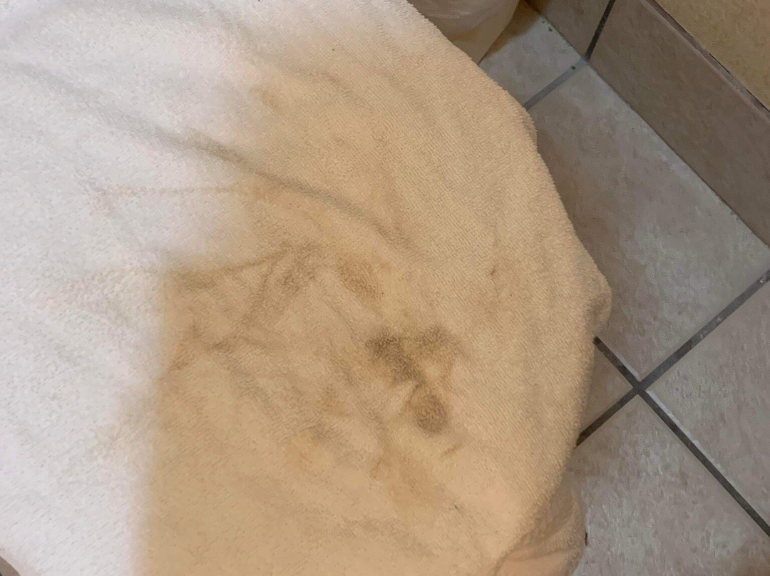 Quality Inn & Suites主图