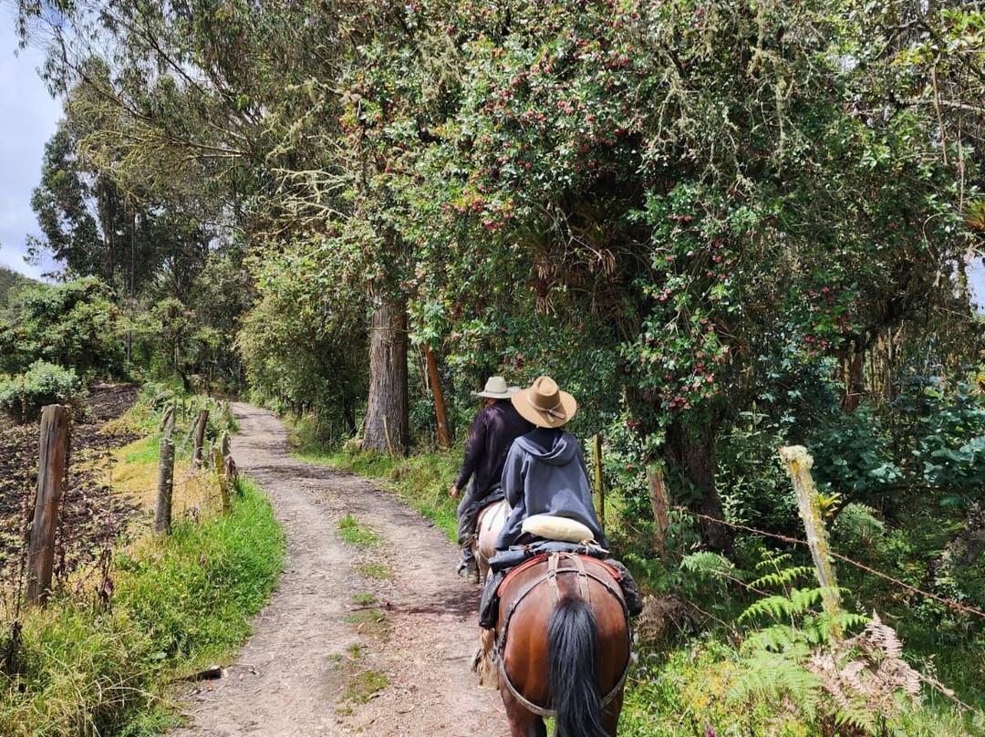 Valle Verde Horse Riding景点图片