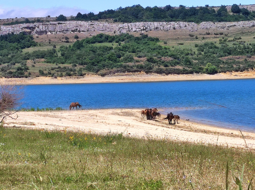 Embalse Del Ebro-Reinosa必去景点