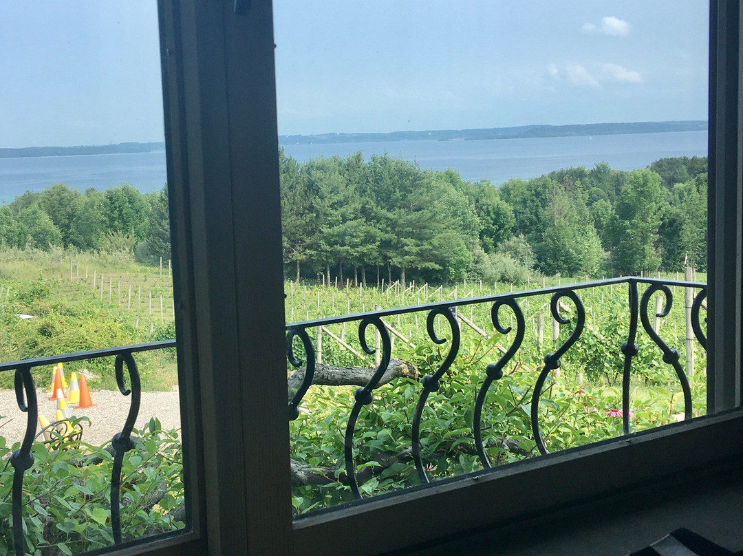 Willow Winery & Vineyard景点图片