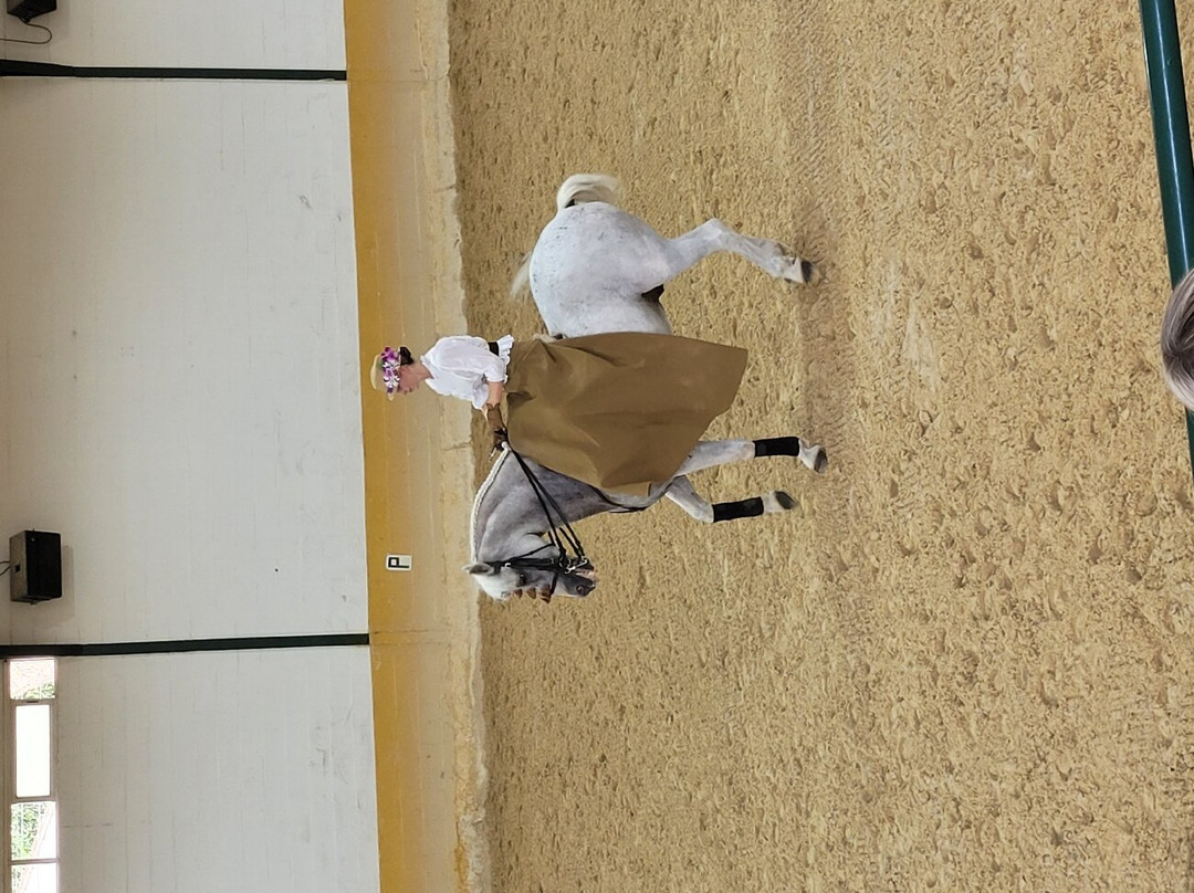 Centro de Equitacion El Ranchito-托雷莫里诺斯必去景点