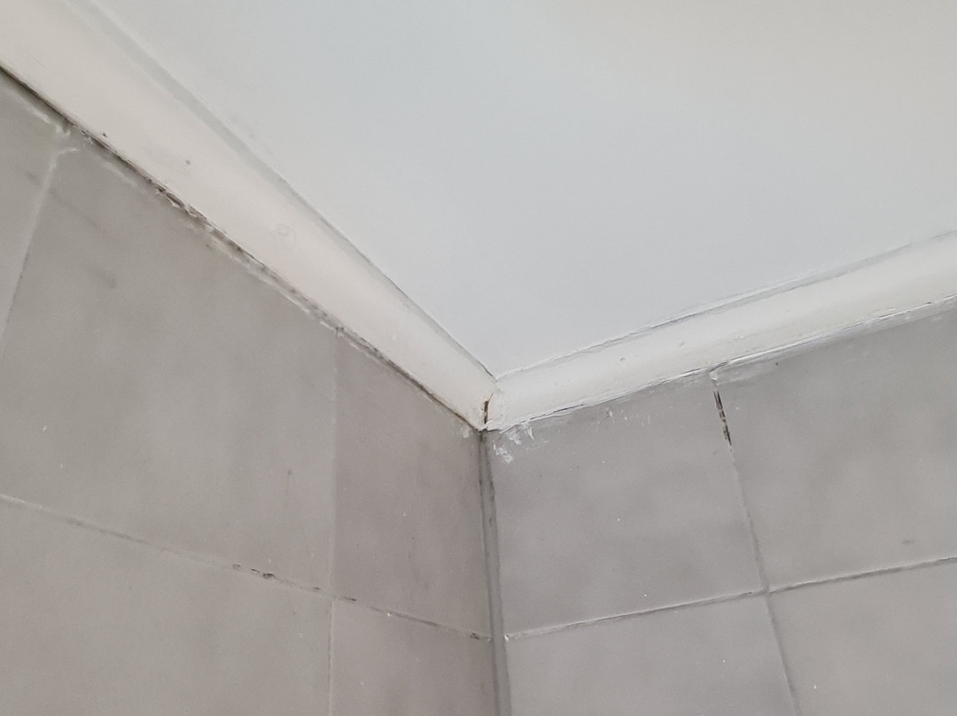 Nevados de Chillan-奇廉必去景点