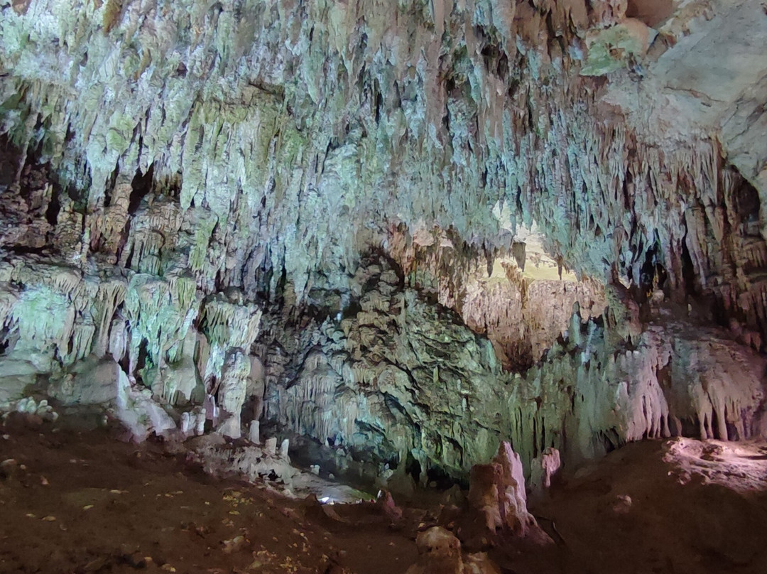 Grotte Di Castelcivita景点图片