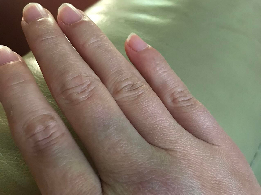 Willow Fork Park-卡蒂必去景点