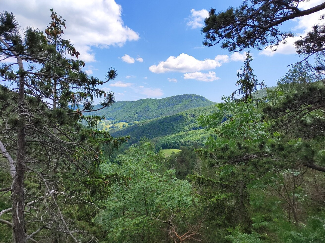 Steinwandklamm-Muggendorf必去景点