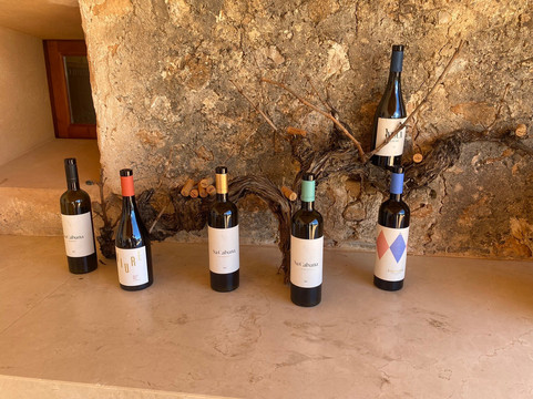 Sa Clasta Wine Tours-马洛卡帕尔马必去景点