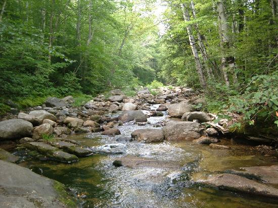 Grafton Notch State Park景点图片