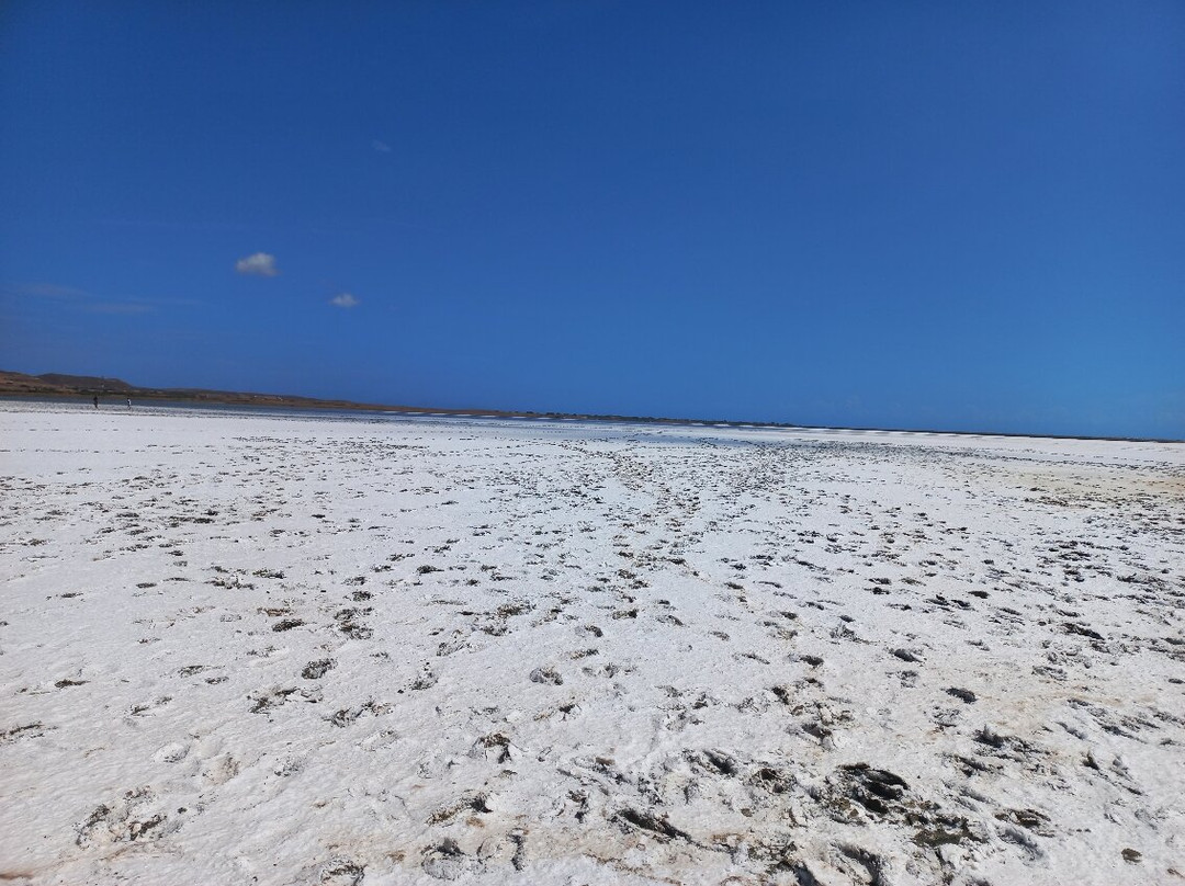 Ygrótopos Alykís - Chortarolímnis-Kondopoúlion必去景点