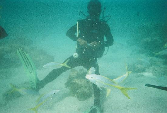 Water City PR-Luquillo必去景点