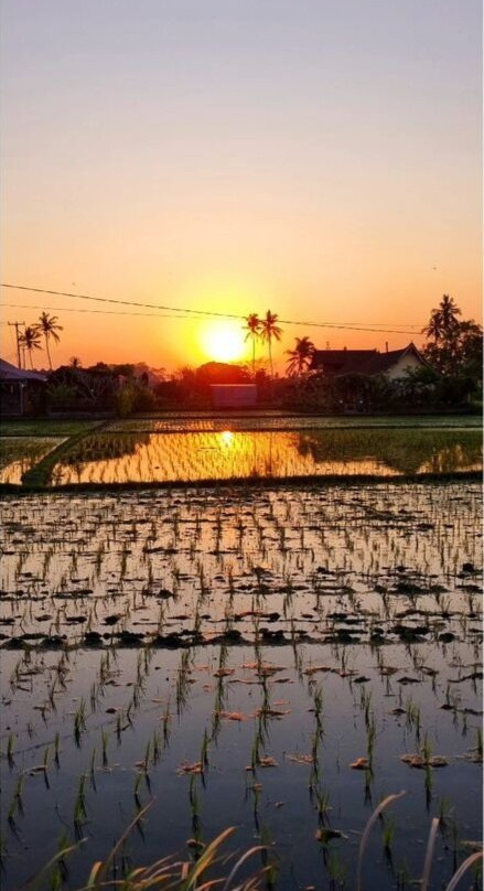 Kadewa Retreat Ubud主图