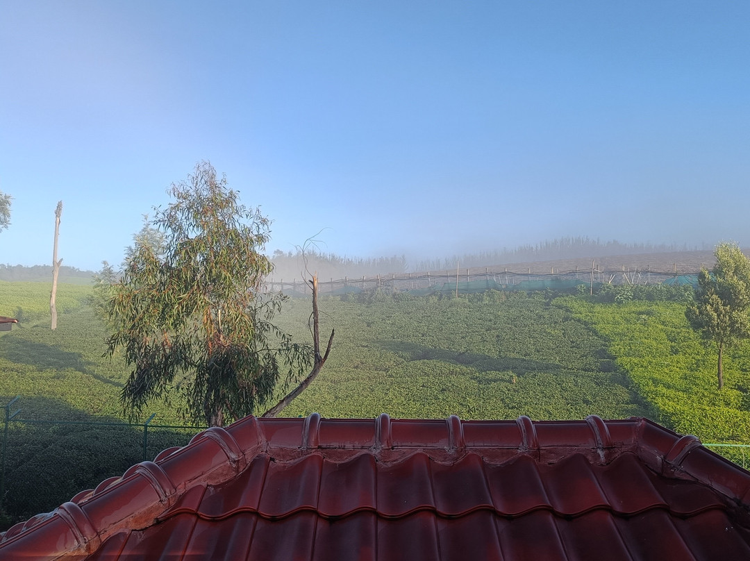 Western Valley Resorts主图