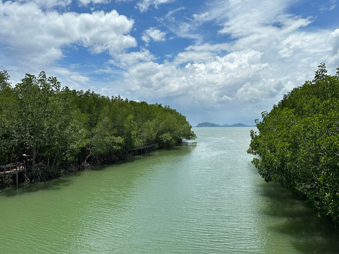 Mu Ko Chumphon National Park景点图片
