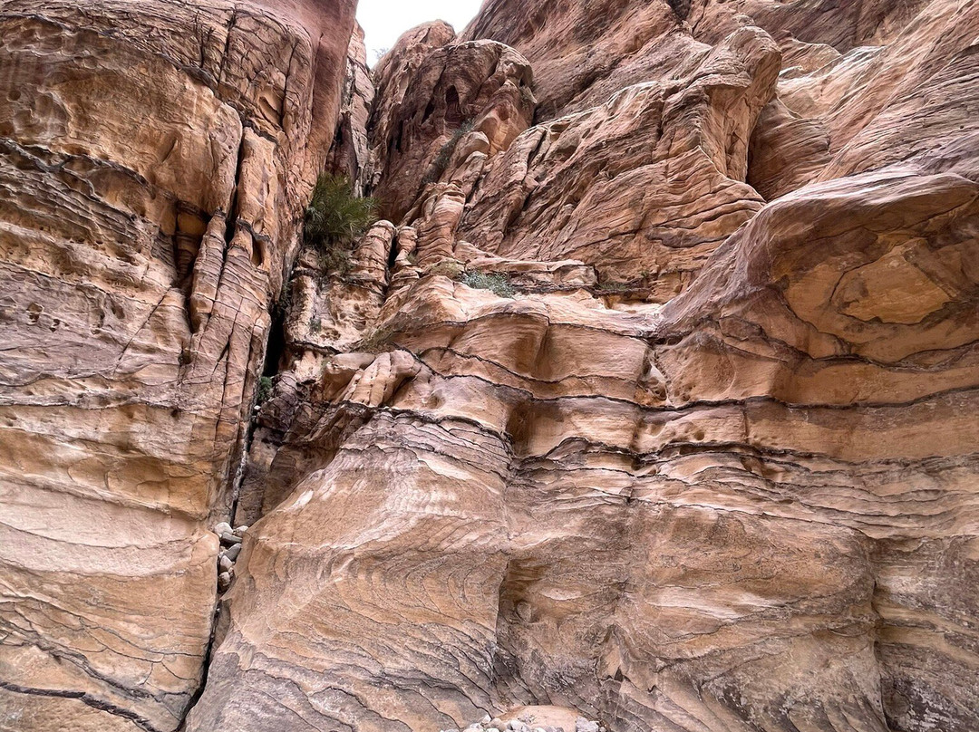 Wadi Ghuweir景点图片