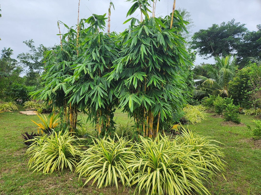 莱特豪斯DP花园度假村