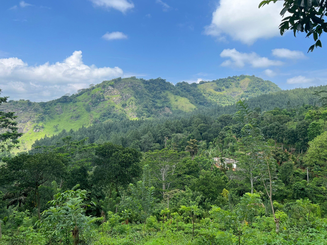 Gammaduwa Bungalow主图