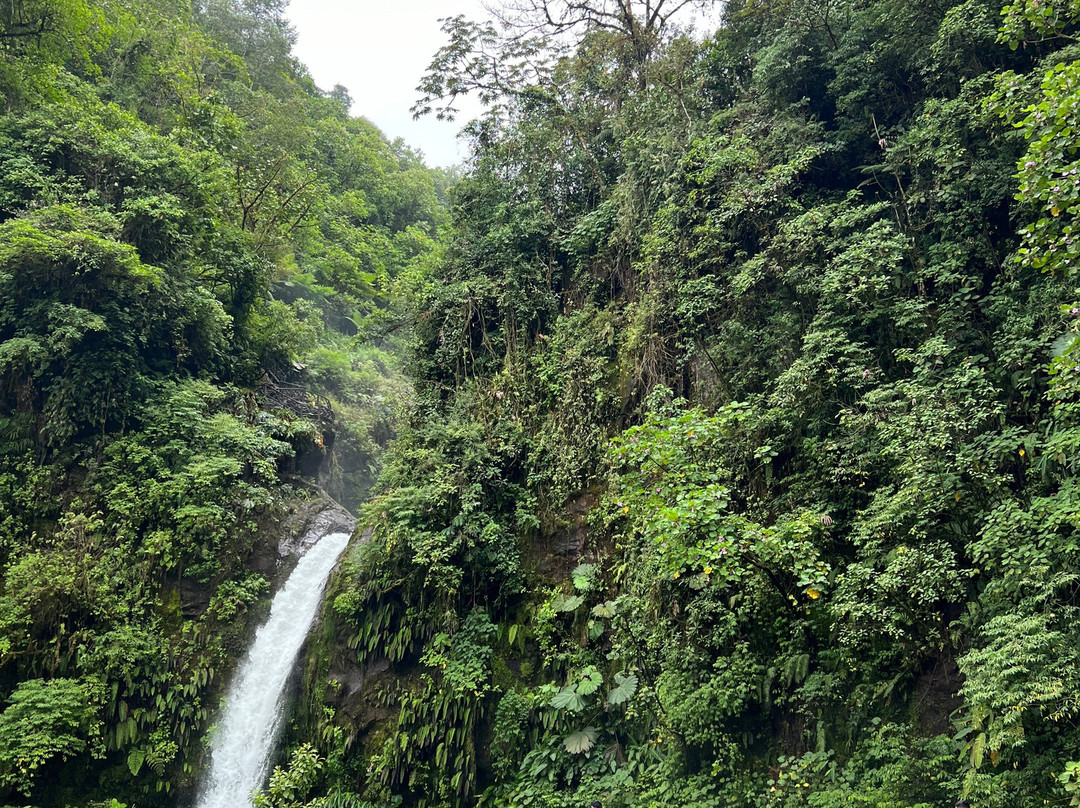 Costa Rica Escapes景点图片