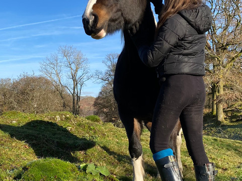 Full circle experiences-安布赛德必去景点