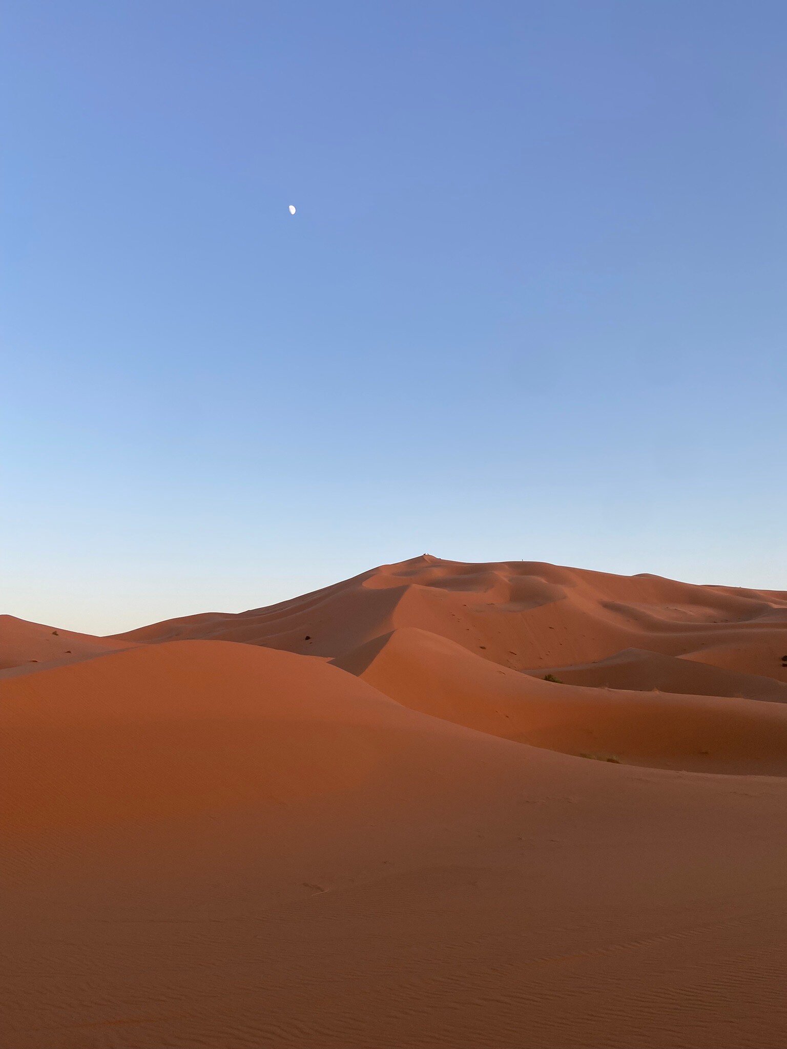 Ksar Bicha-官方