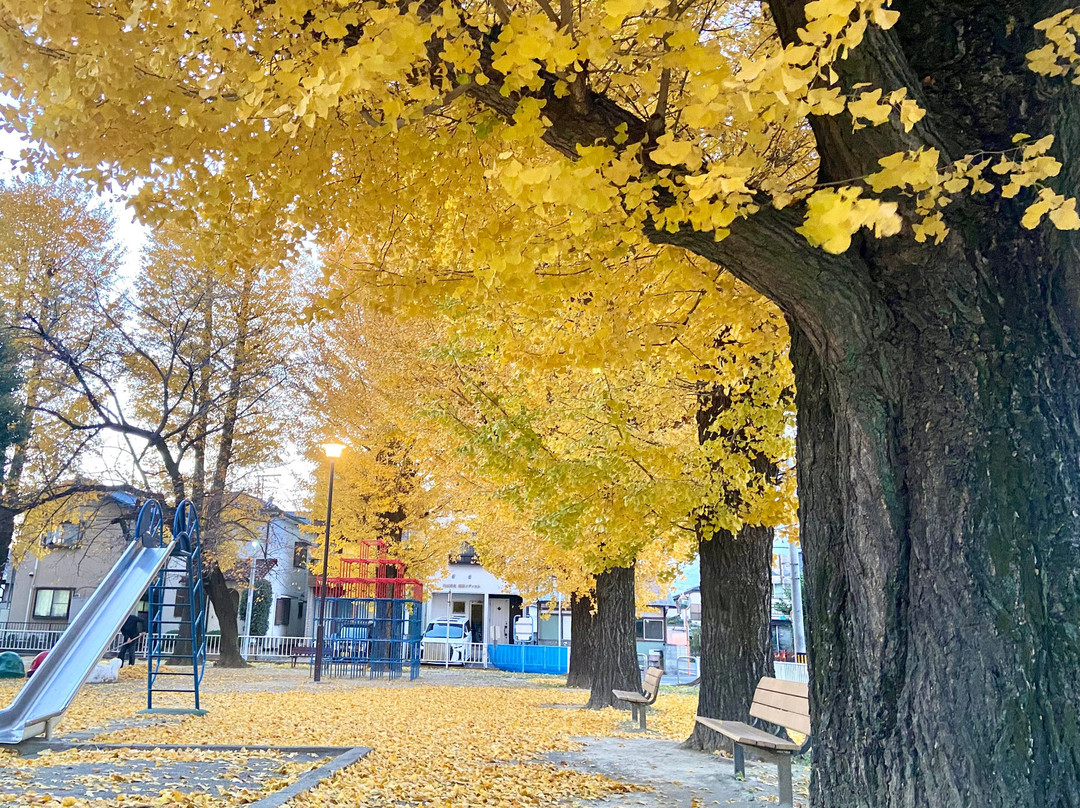Arakawa Park-熊谷市必去景点