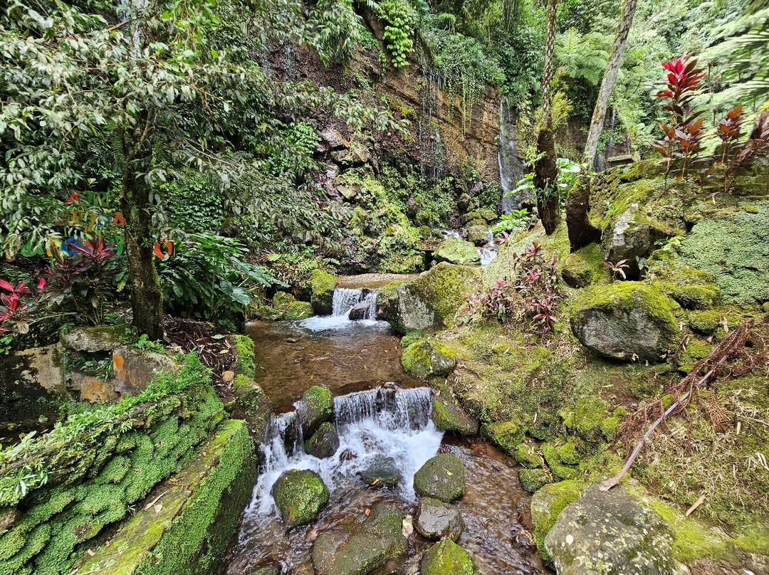 Parang Ijo Waterfalls景点图片
