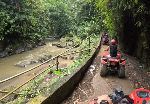 Balinice Transport-登巴萨必去景点