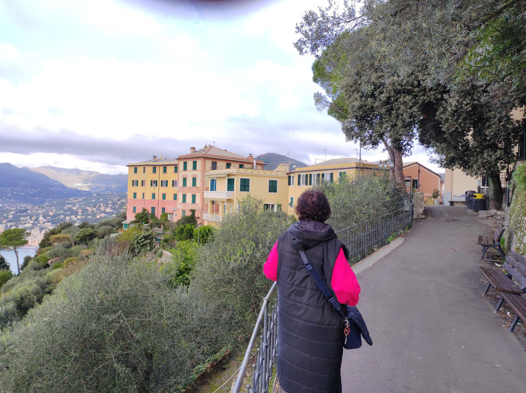 Sentiero san Rocco-Batterie-san Fruttuoso景点图片