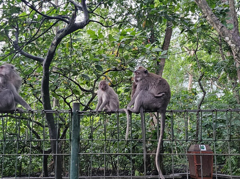 Bali Romantic Tours-登巴萨必去景点