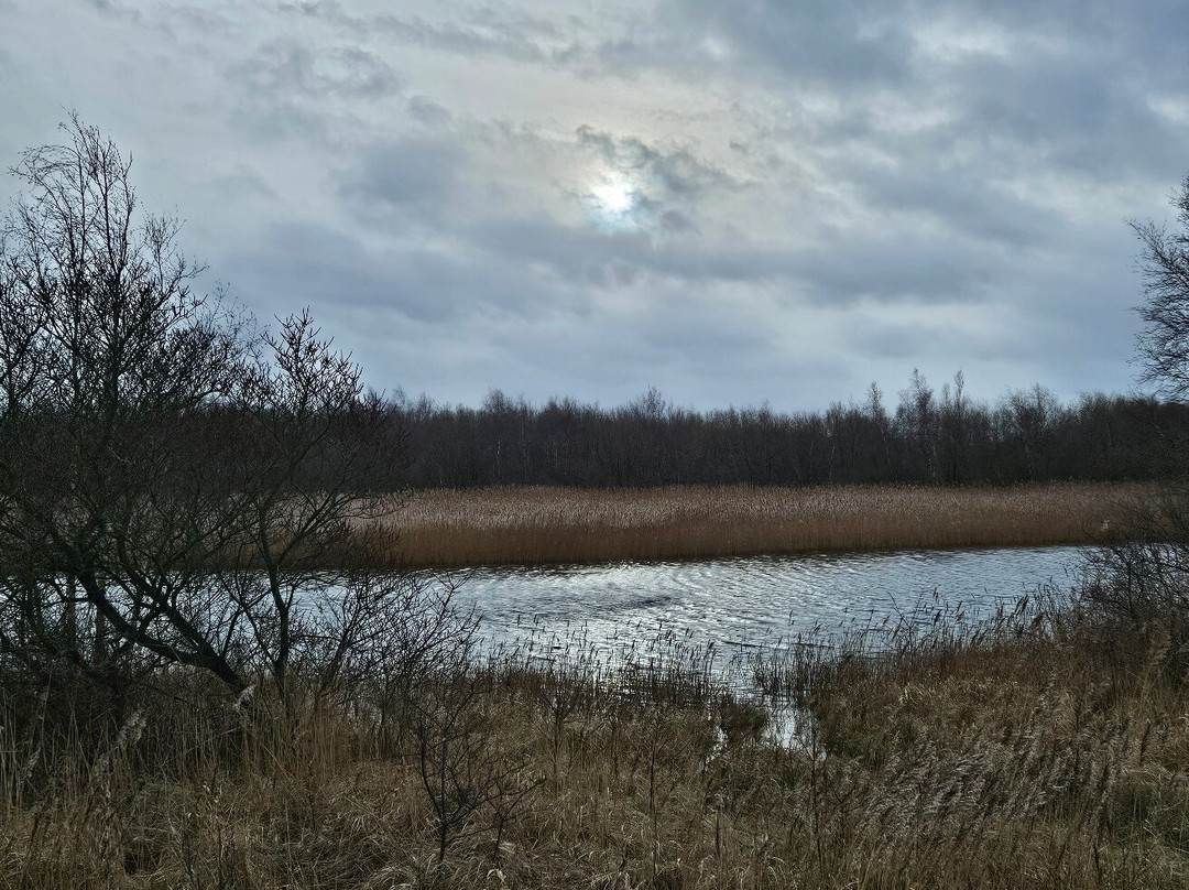 Nationaal Park Lauwersmeer-Lauwersoog必去景点