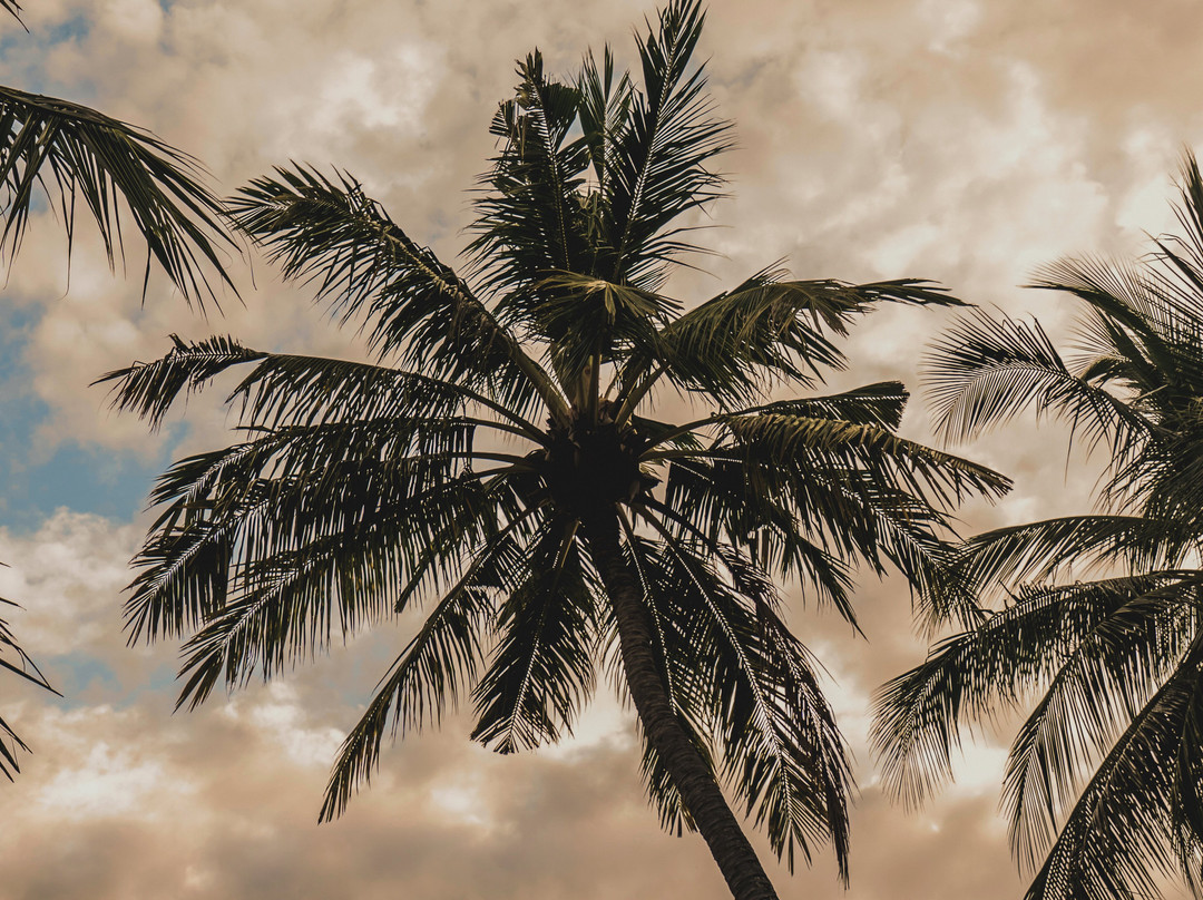 The Tiing Tejakula Villas主图