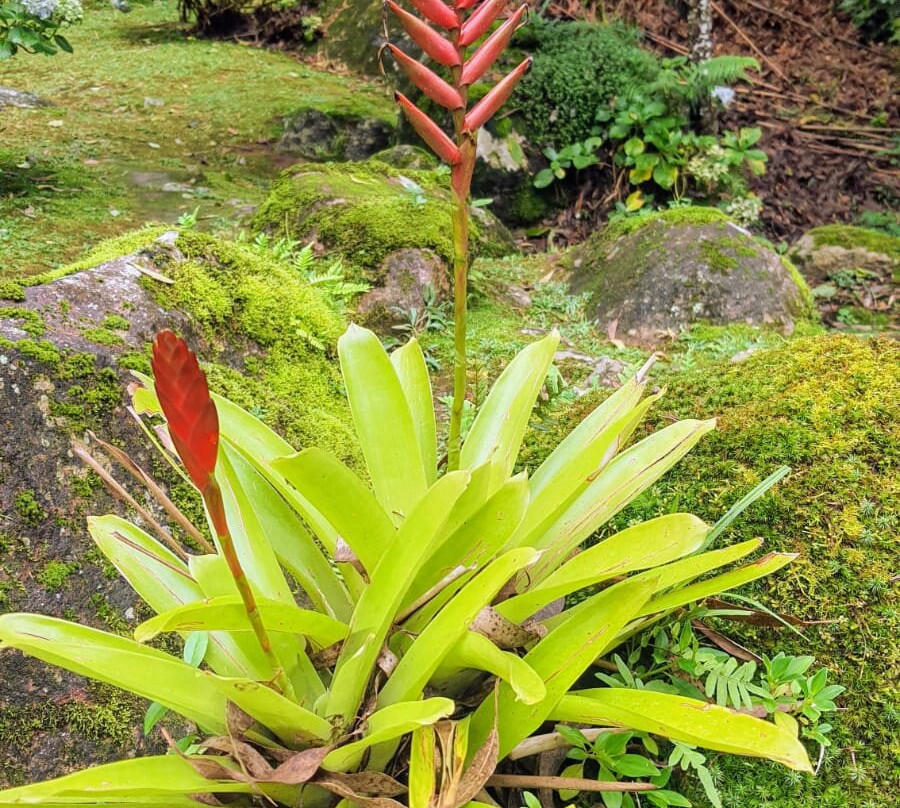 Pousada da Gruta主图