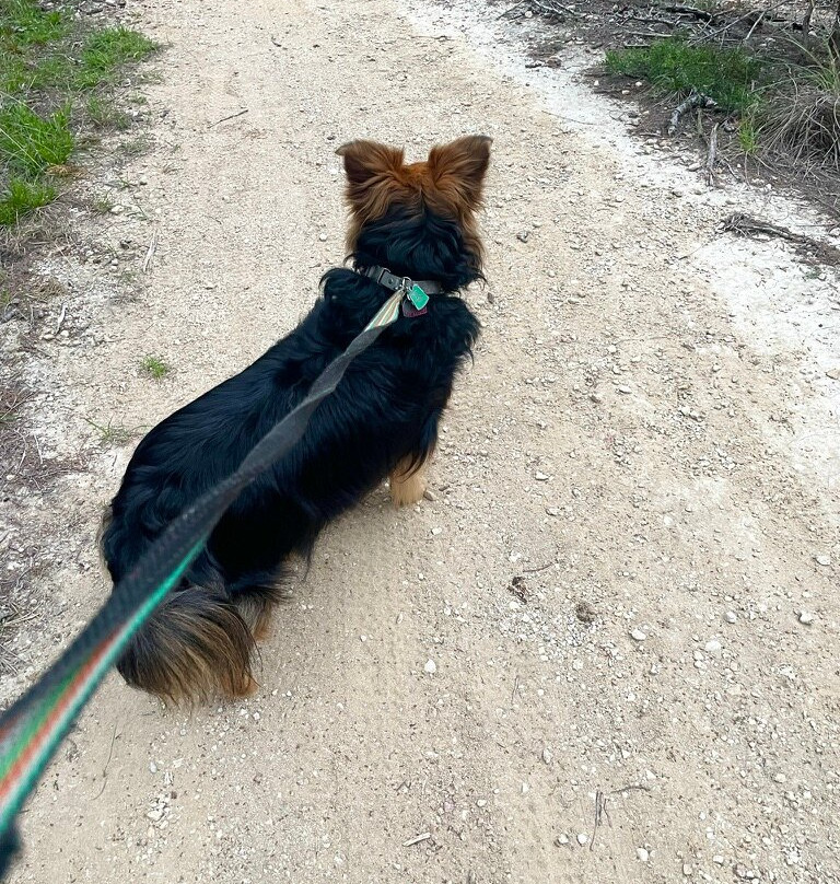 Kerrville-Schreiner Park-克尔维尔必去景点