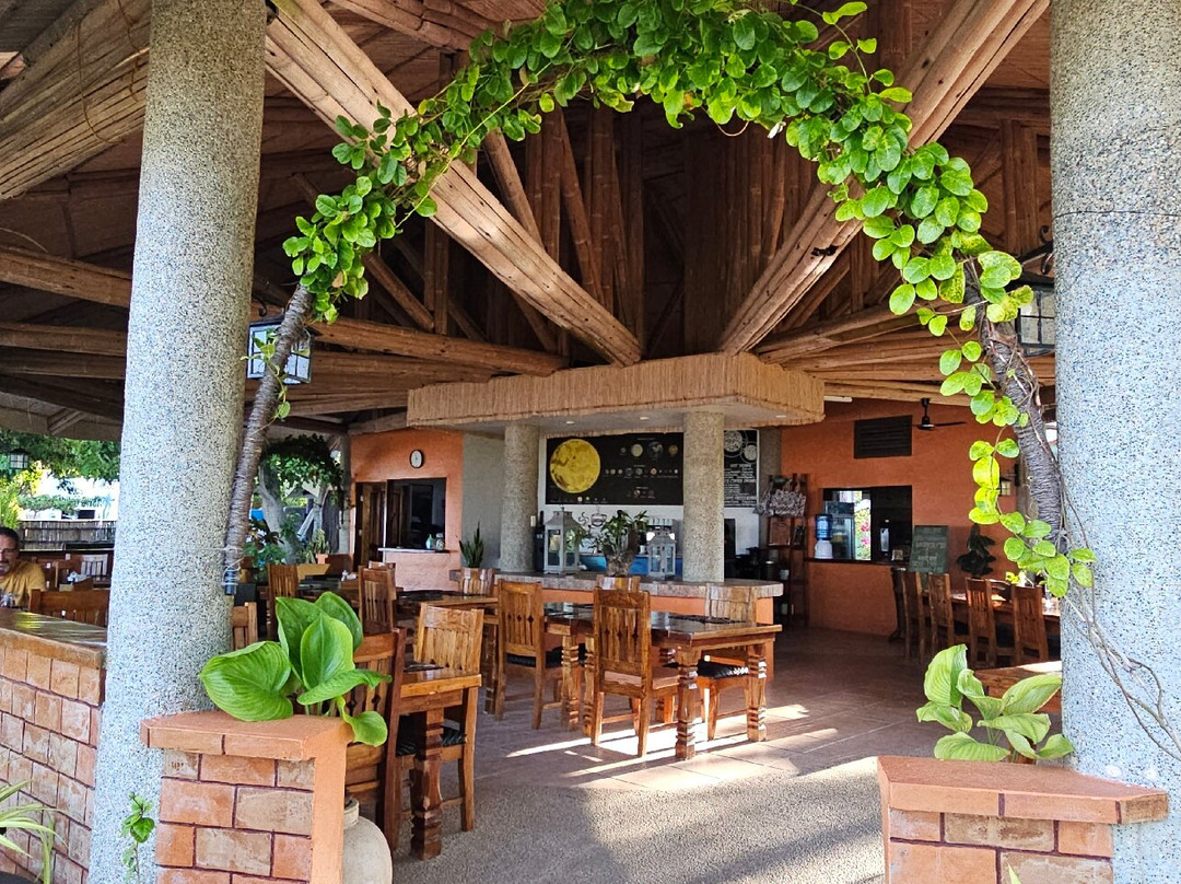 Polaris Beach and Dive Resort主图